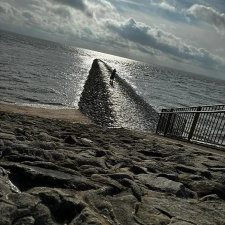 Backboard דירה טוסנס