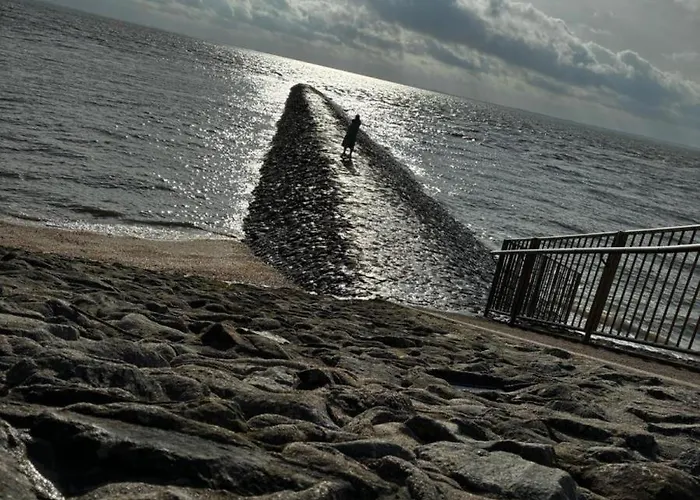 Backboard Apartman Tossens